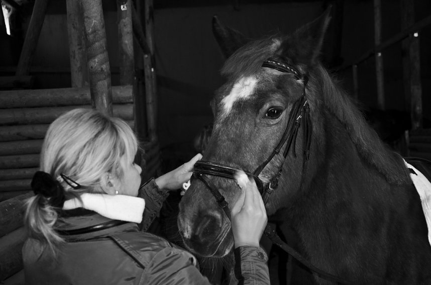 Reiten als Therapie