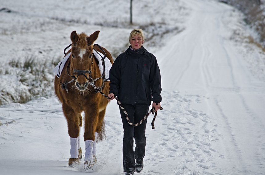 Reiten als Therapie