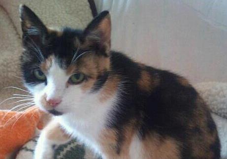 Suchen neues Zuhause