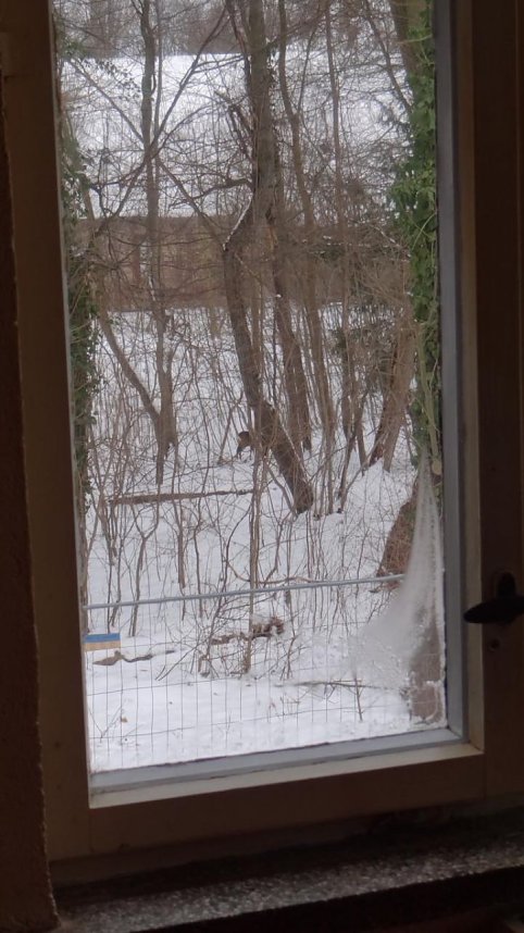 Natur pur vor eigenen Haus