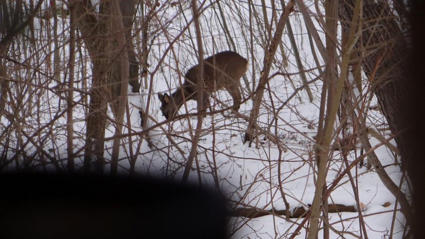 Natur pur vor eigenen Haus