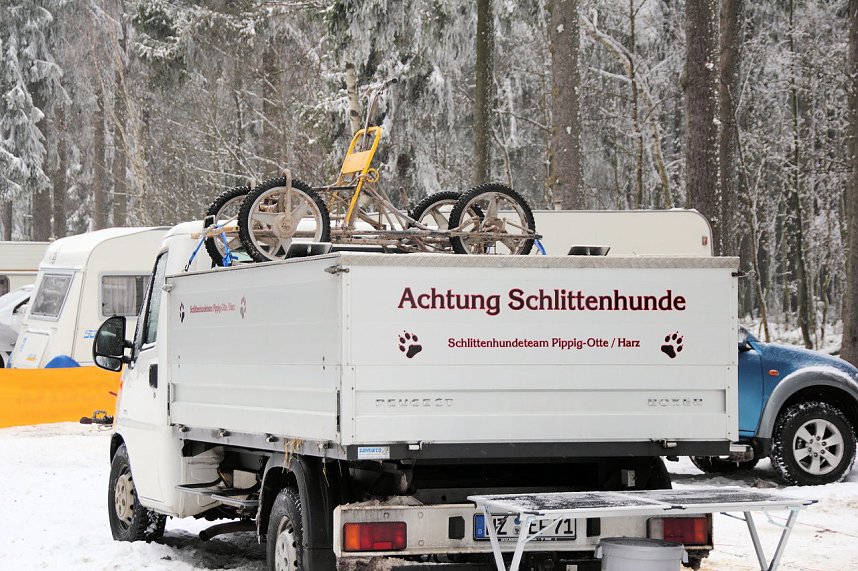 Schlittenhunderennen in Benneckenstein