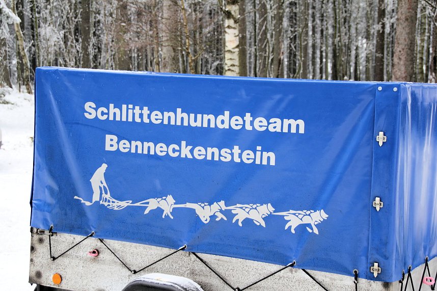 Schlittenhunderennen in Benneckenstein