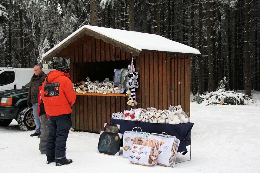 Schlittenhunderennen in Benneckenstein