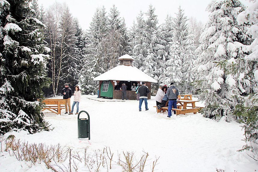 Schlittenhunderennen in Benneckenstein