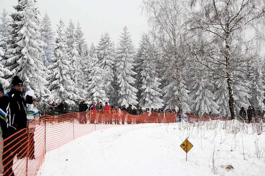 Schlittenhunderennen in Benneckenstein