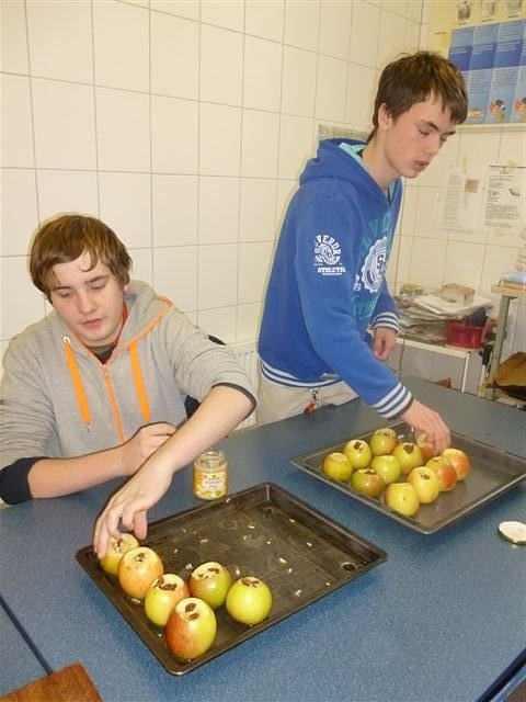 Basischer Projekttag