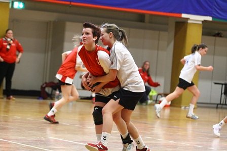 Ein volles Handball-Wochenende