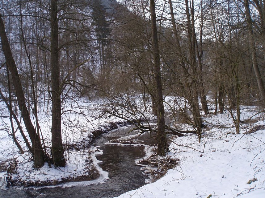 Das Brandesbachtal
