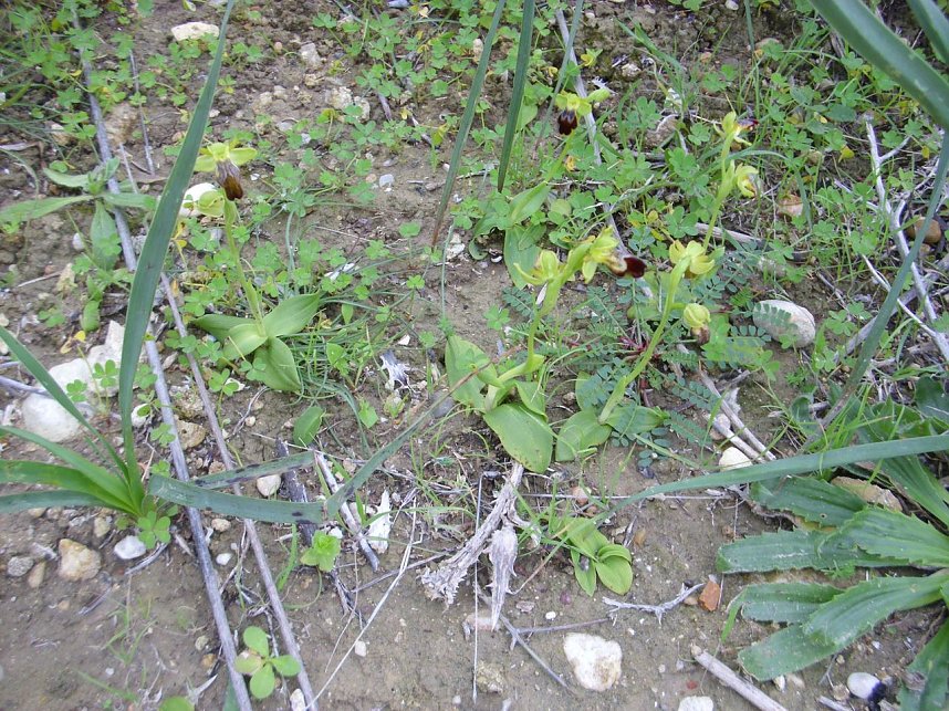 Sizilien: Torre Salza - Naturschutz-Ressort