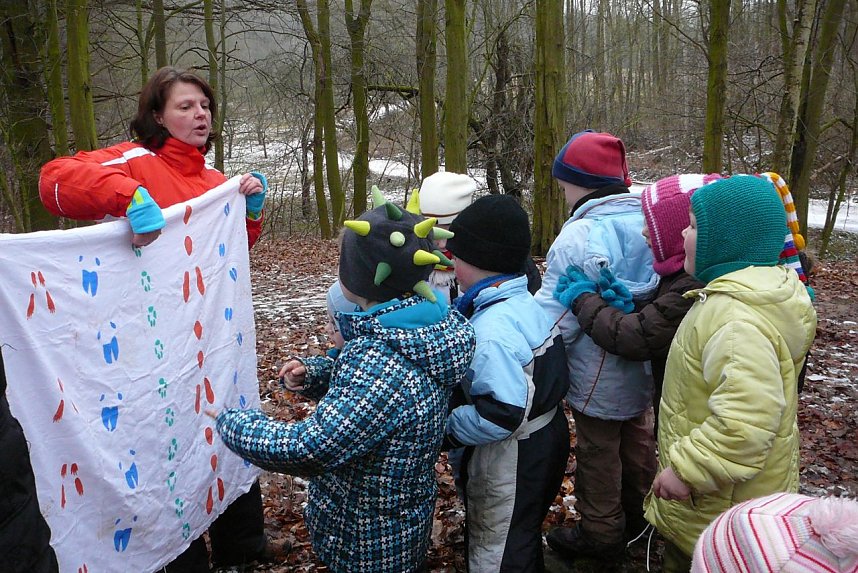 Klasse Wald in Nordhausen