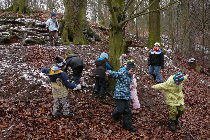 Klasse Wald in Nordhausen