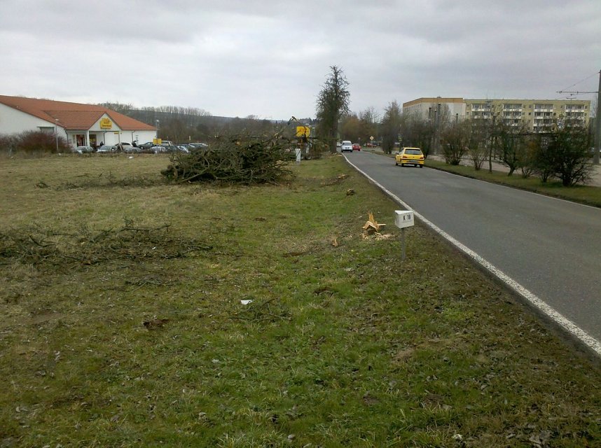 Gepflegte B&auml;ume