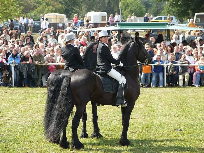 Giganten und anderes auf dem Scheunenhof