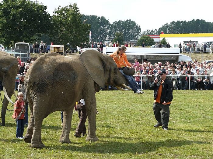 Giganten und anderes auf dem Scheunenhof