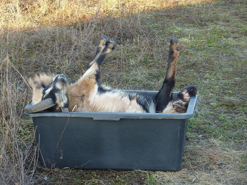 Zusammensto&szlig; nicht &uuml;berlebt