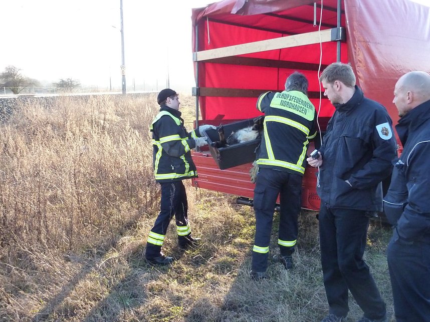 Zusammensto&szlig; nicht &uuml;berlebt