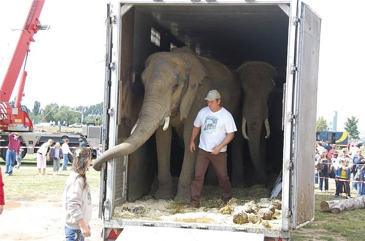 Kampf der Giganten auf dem Scheunenhof