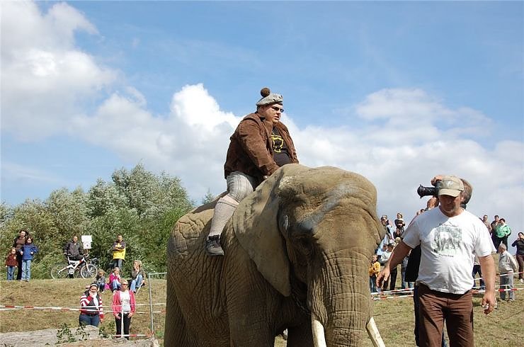 Kampf der Giganten auf dem Scheunenhof