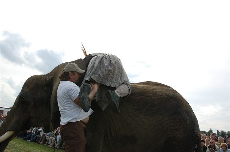 Kampf der Giganten auf dem Scheunenhof