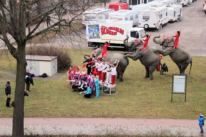 Der Zirkus stellt sich vor