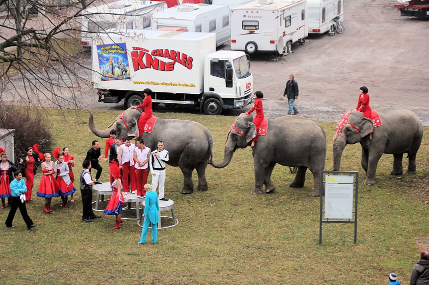 Der Zirkus stellt sich vor