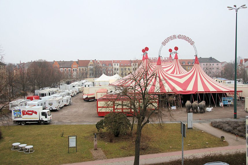 Der Zirkus stellt sich vor