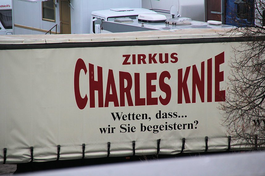 Der Zirkus stellt sich vor