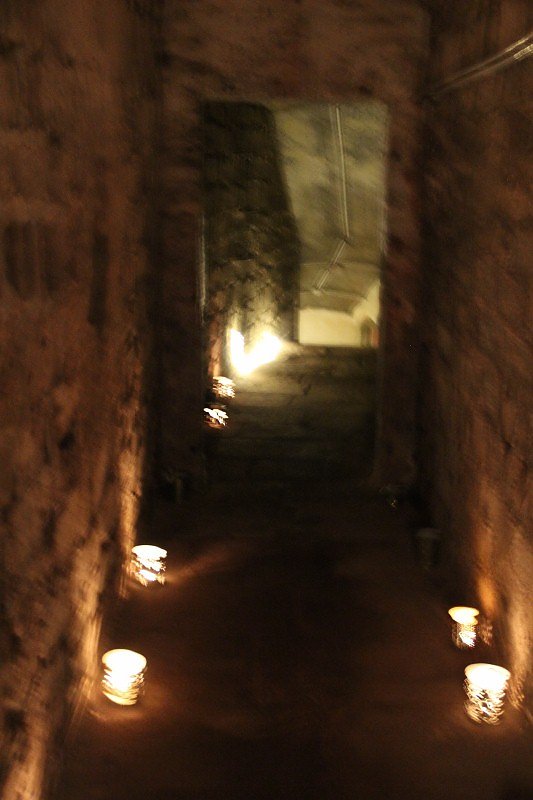 Interessante Museumsnacht