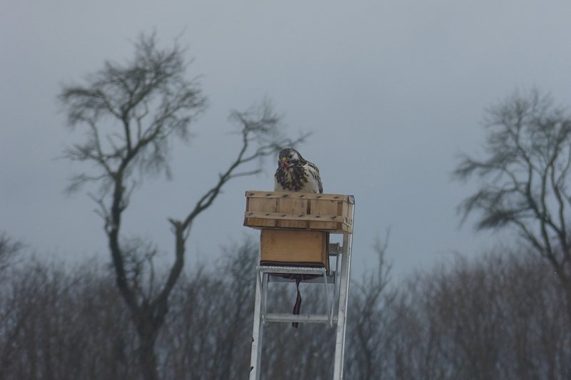 Futter auch f&uuml;r die "Gro&szlig;en"