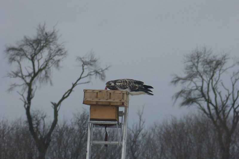 Futter auch f&uuml;r die "Gro&szlig;en"