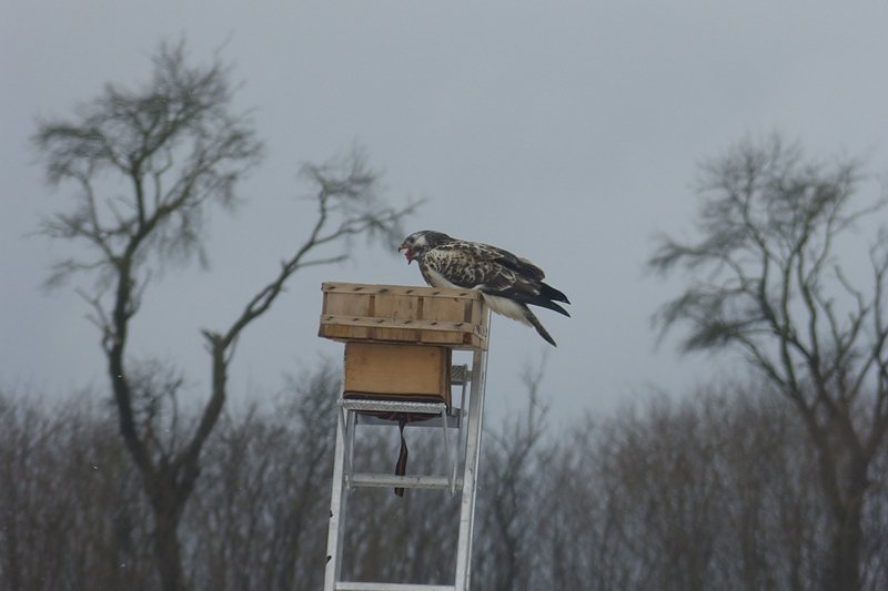 Futter auch f&uuml;r die "Gro&szlig;en"