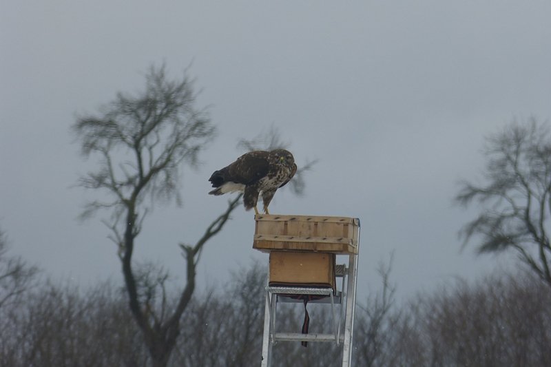 Futter auch f&uuml;r die "Gro&szlig;en"