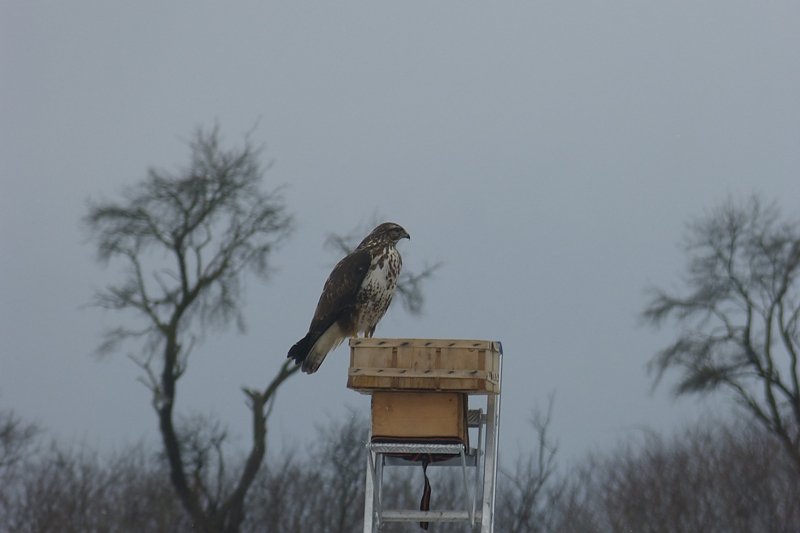 Futter auch f&uuml;r die "Gro&szlig;en"