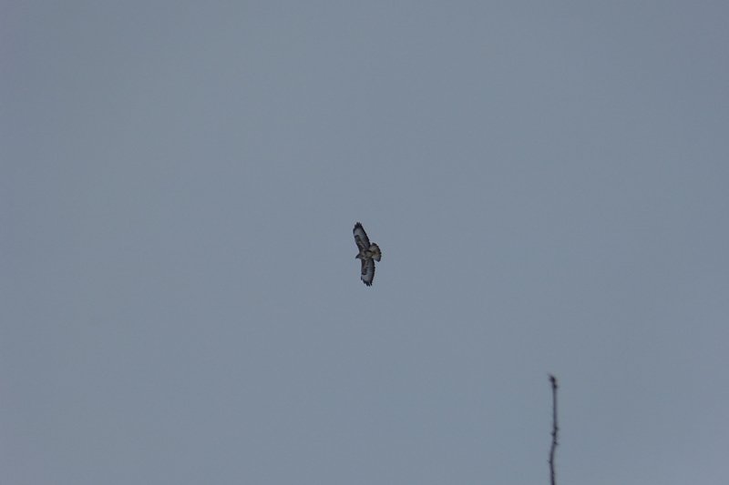 Futter auch f&uuml;r die "Gro&szlig;en"