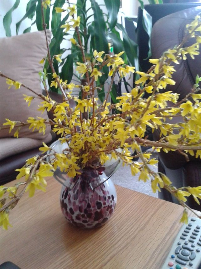 Wo bleibt der Fr&uuml;hling?