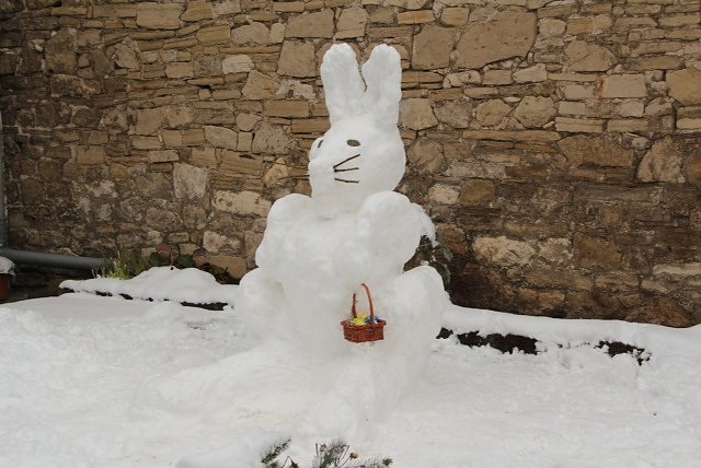 Schneehase in Mackenrode