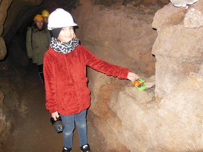 Osterk&ouml;rbchen gesucht