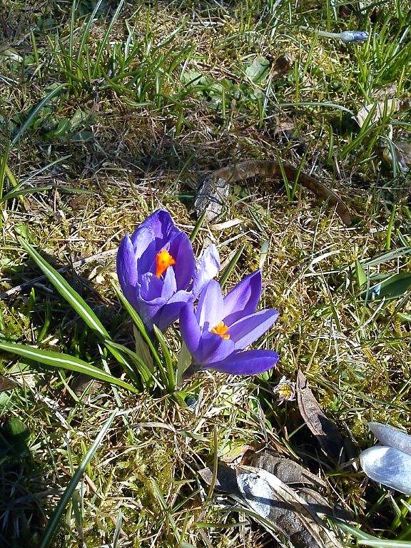 Ein Hauch von Fr&uuml;hling