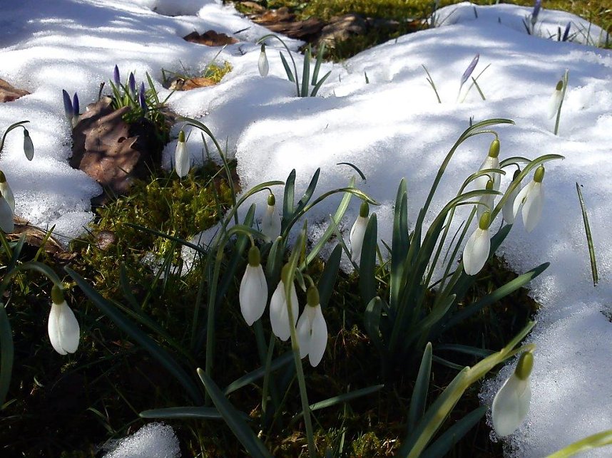 Ein Hauch von Fr&uuml;hling