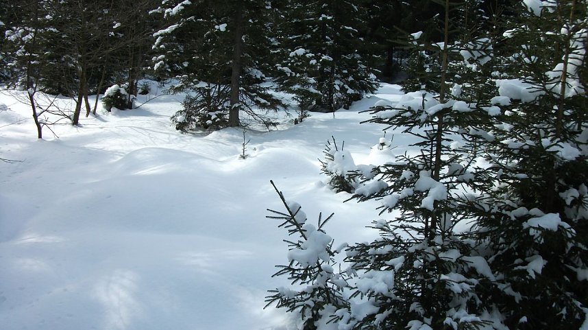 Winterliche Impressionen