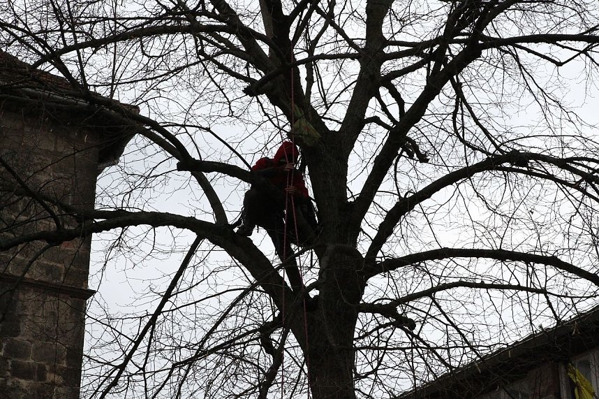 Abgeseilt und demonstriert