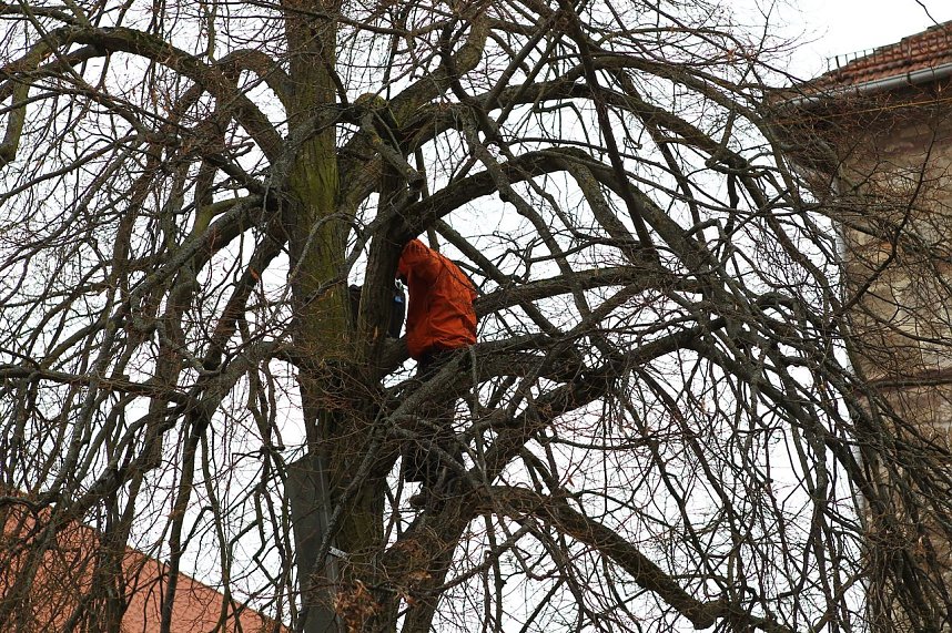 Abgeseilt und demonstriert