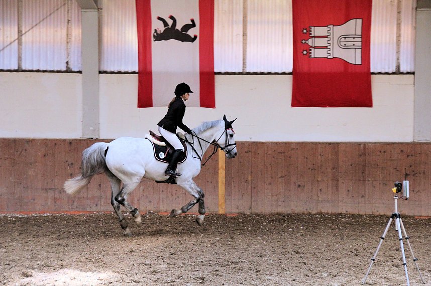 Reitturnier und Hoffest