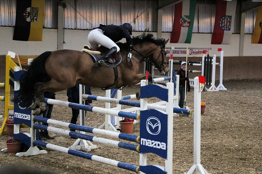 Reitturnier und Hoffest