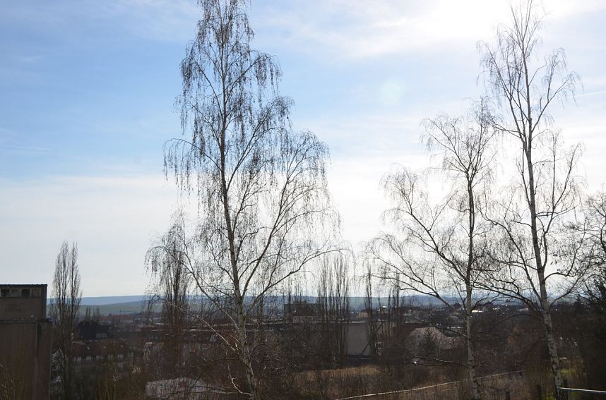 City Scout unterwegs