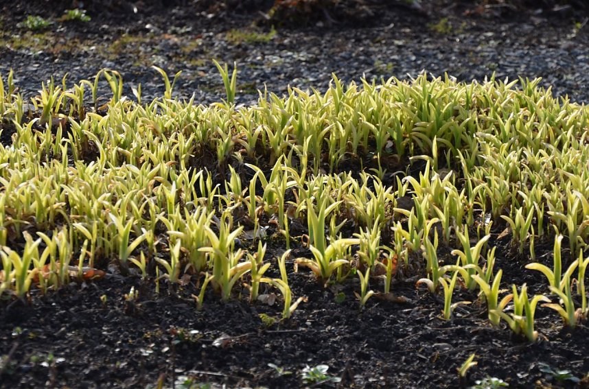 City Scout unterwegs