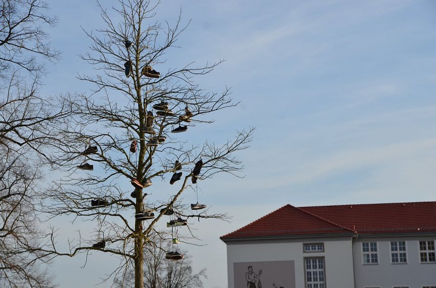 City Scout unterwegs