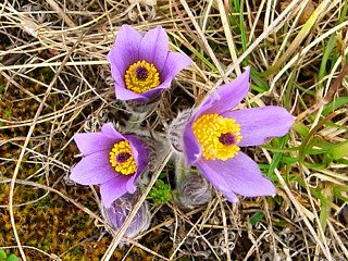 Wanderung in den Fr&uuml;hling