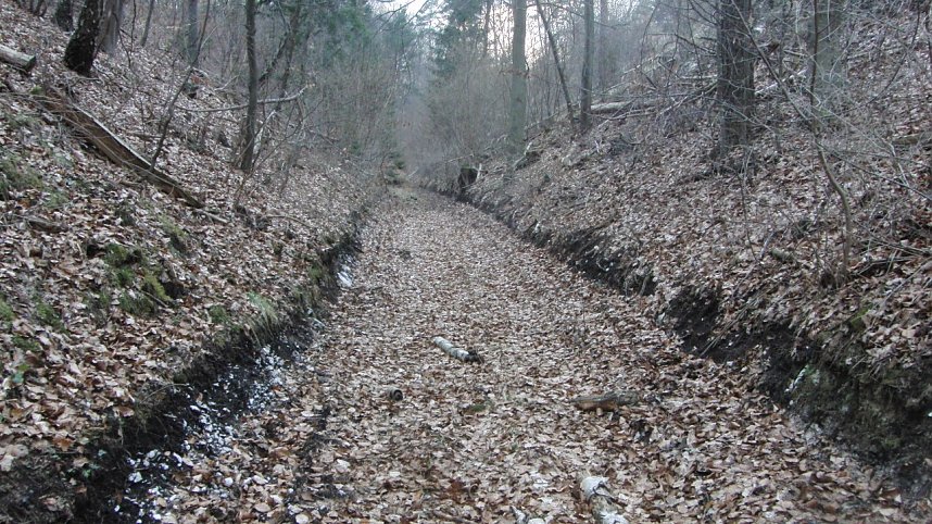 Bulldozer im Alten Stolberg